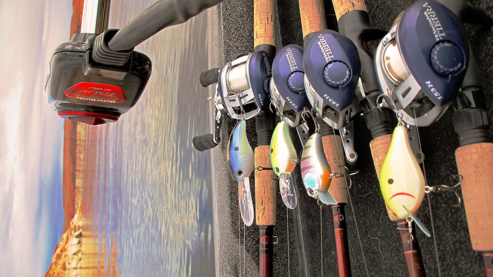 ima_crankbait-quickguide-top