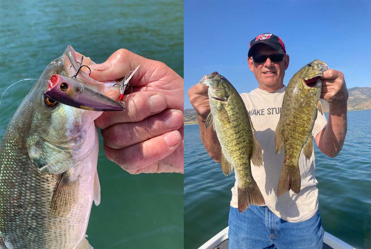 Topwater Lures; Break The Surface To Tempt California Lake Bass ...