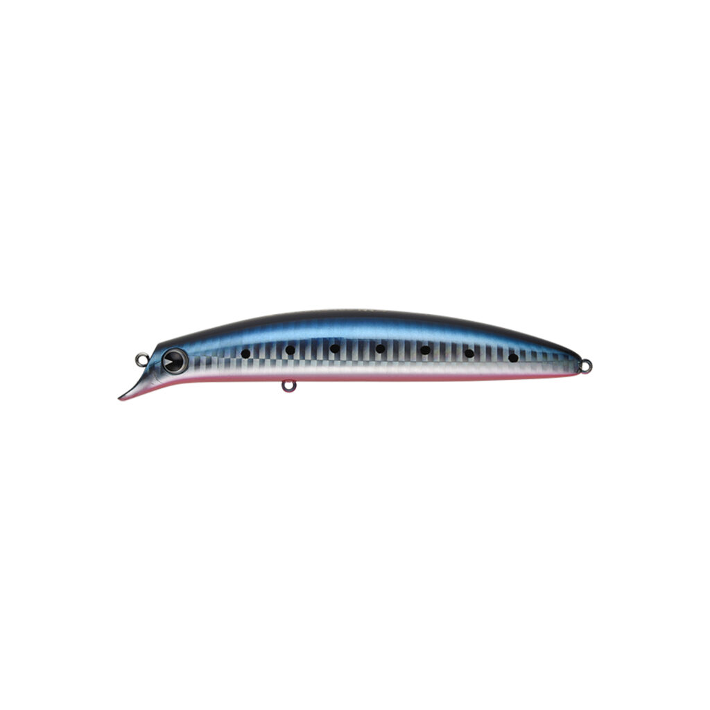 Sasuke 130 Goriki GR130 #109 Hot Belly Sardine