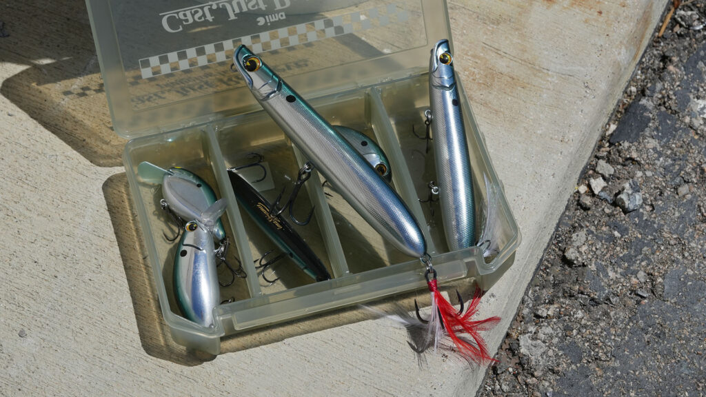 ima_newcolor_summer2025_top