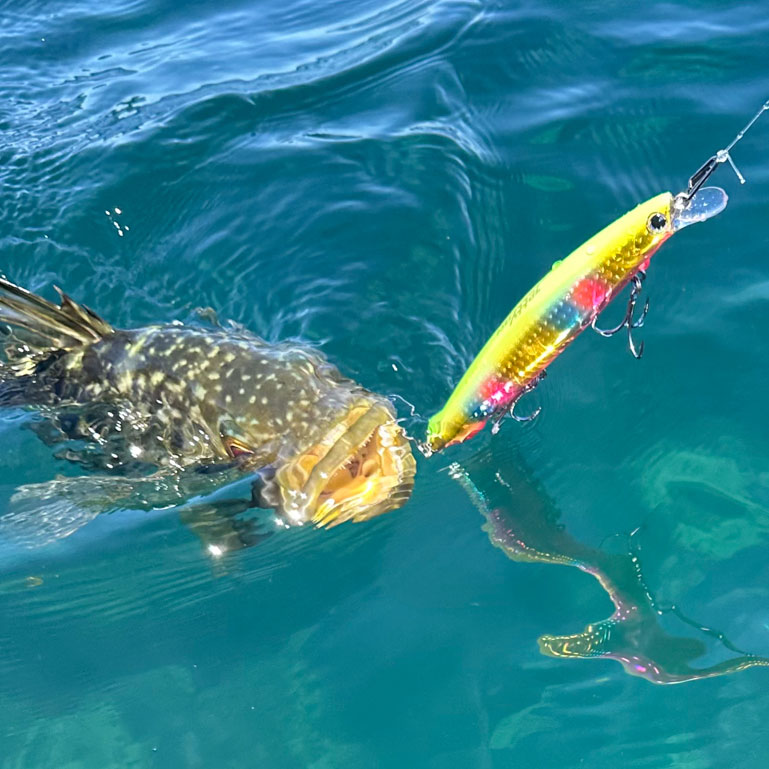 ima-jetty153s_fishphoto_mo