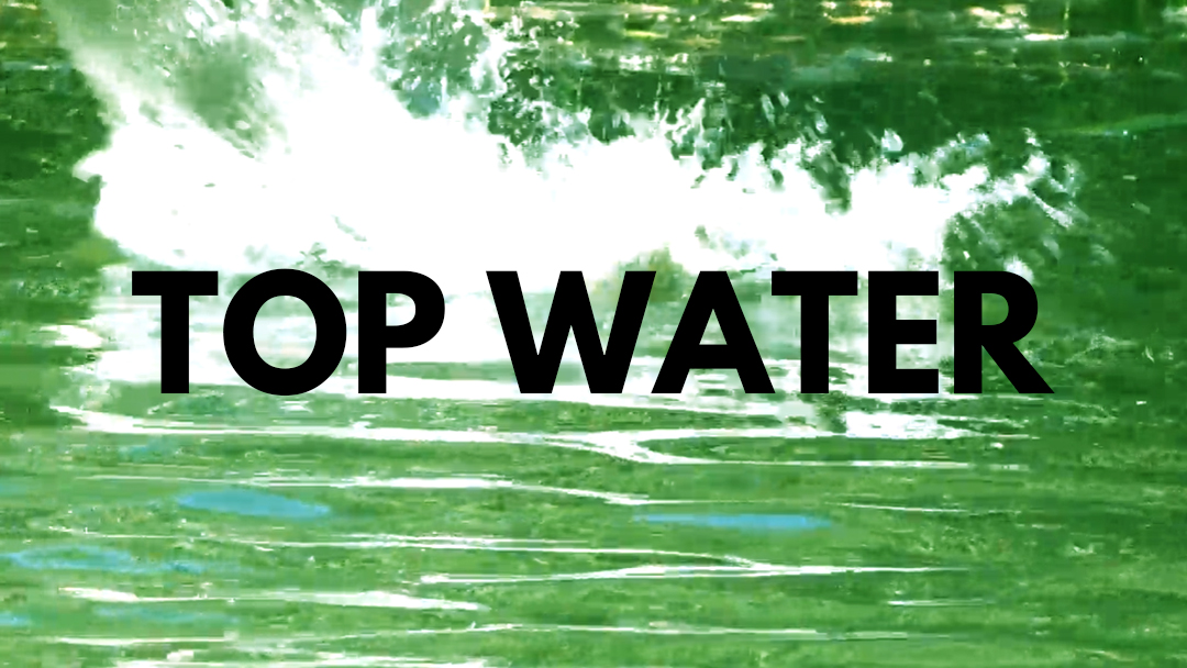 TOPWATER - ima lures