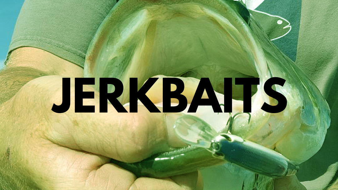 Jerkbaits - ima lures